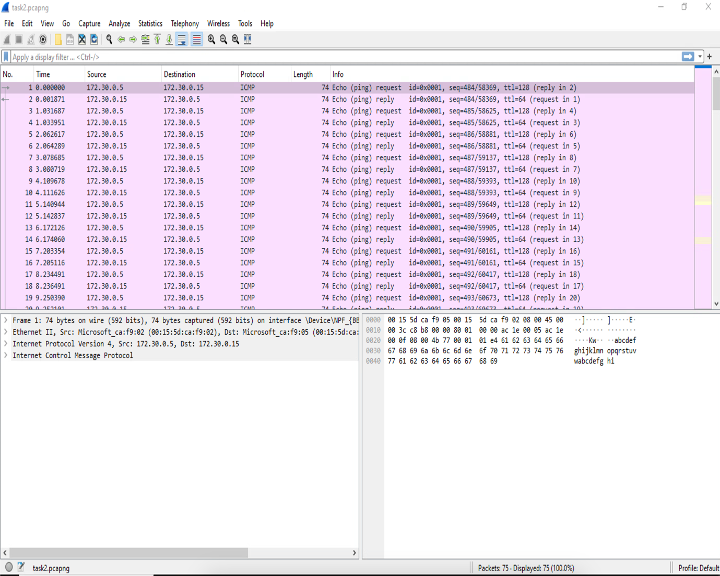 Task 2, Screenshot Capture Live Traffic For Continuous Ping Test