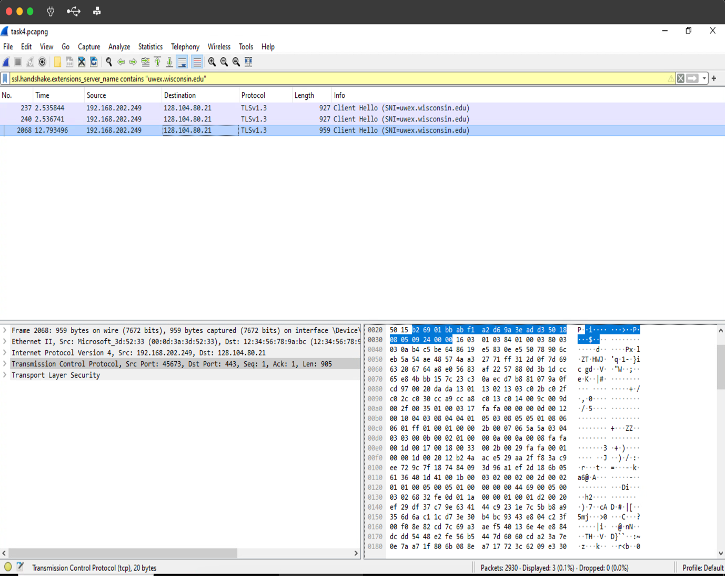 Task 4, Screenshot Capture Browser Traffic on Parent VM